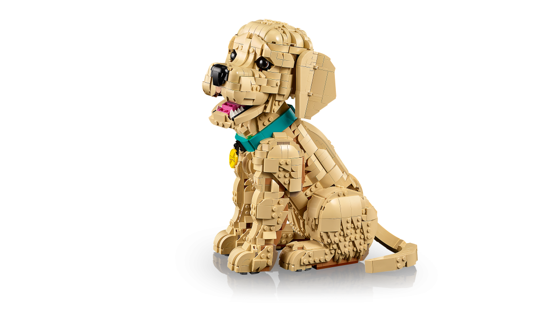 LEGO Icons Golden Retriever Puppy | 11384