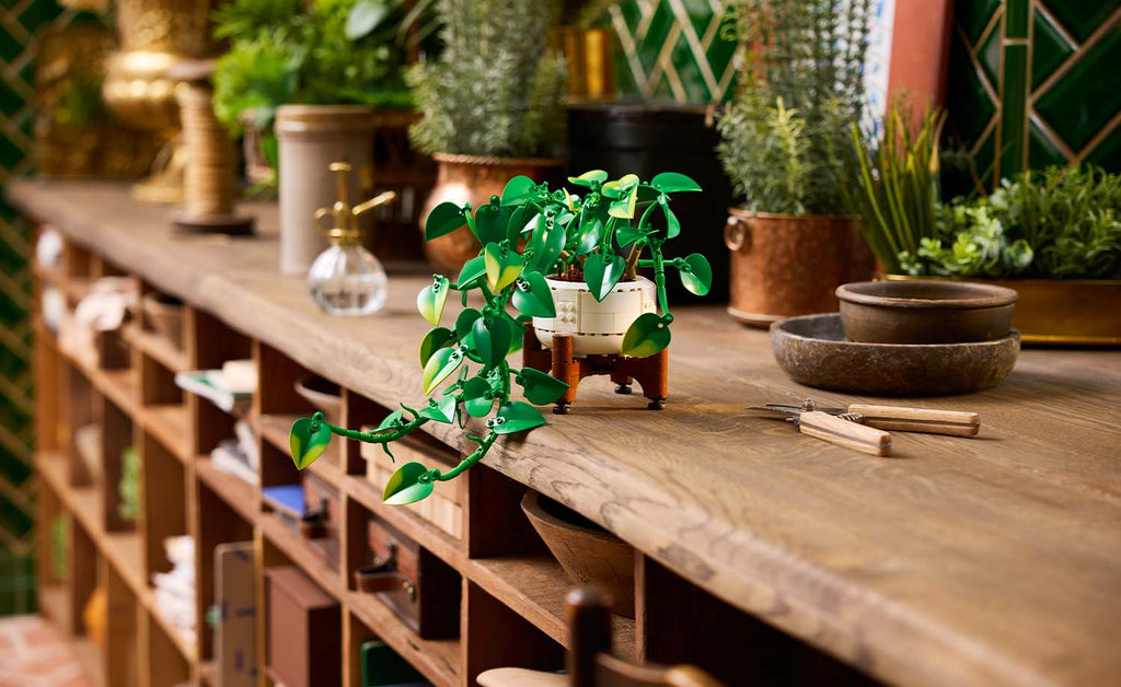 LEGO Botanicals Hanging Golden Pothos | 11512